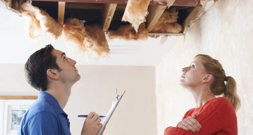 Building Inspections