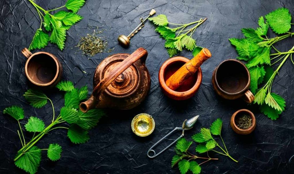 Nettle Tincture 