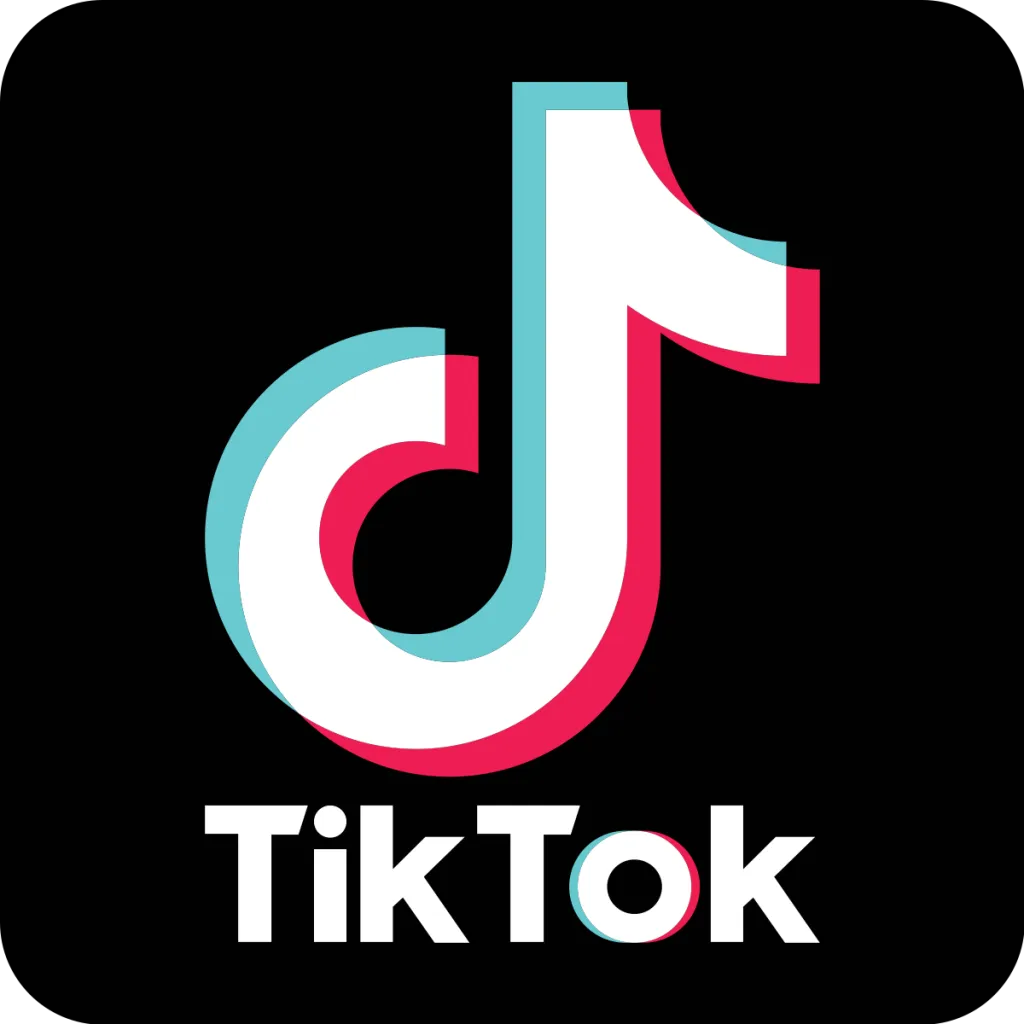 Download TikTok Videos