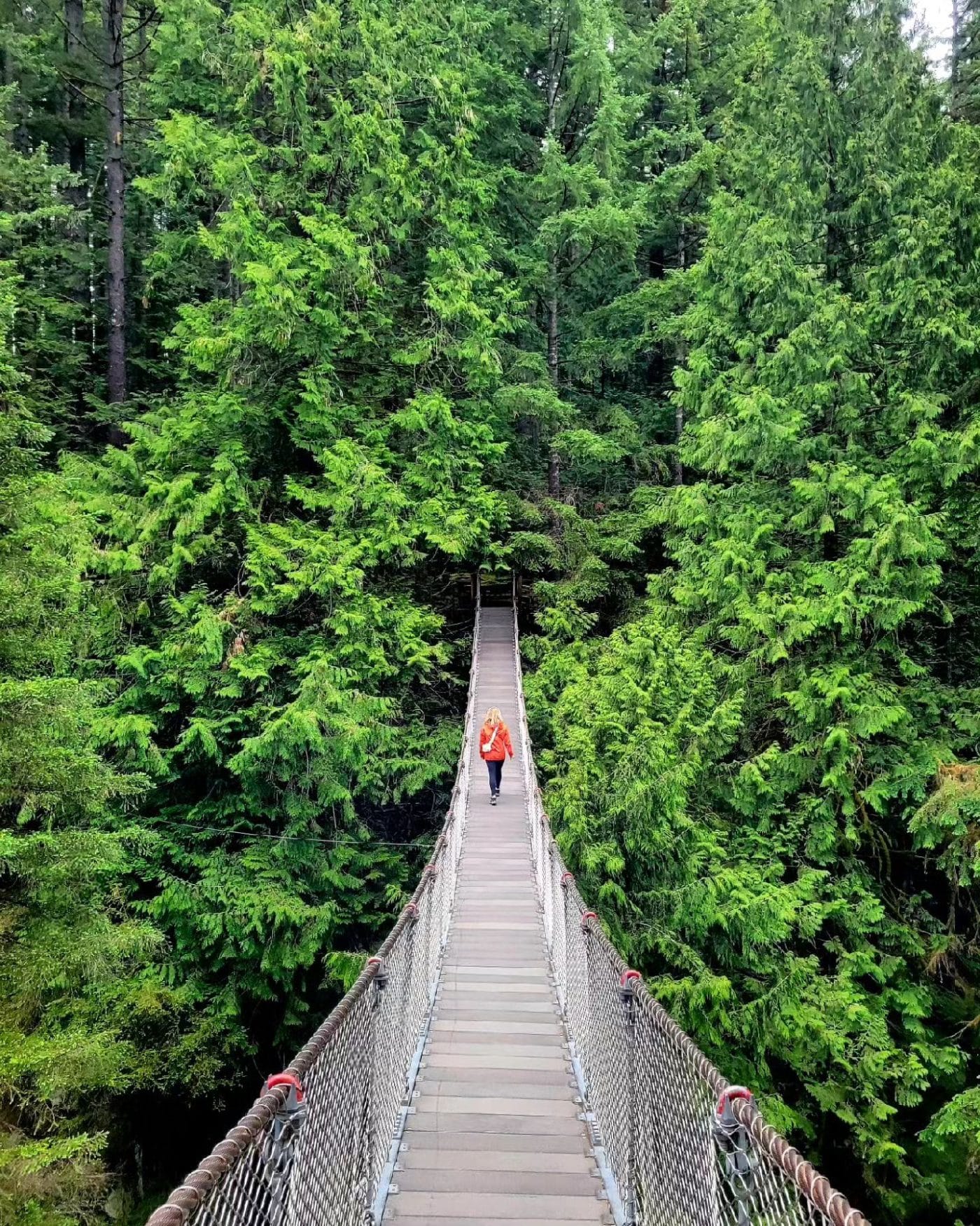 Suspension Bridge