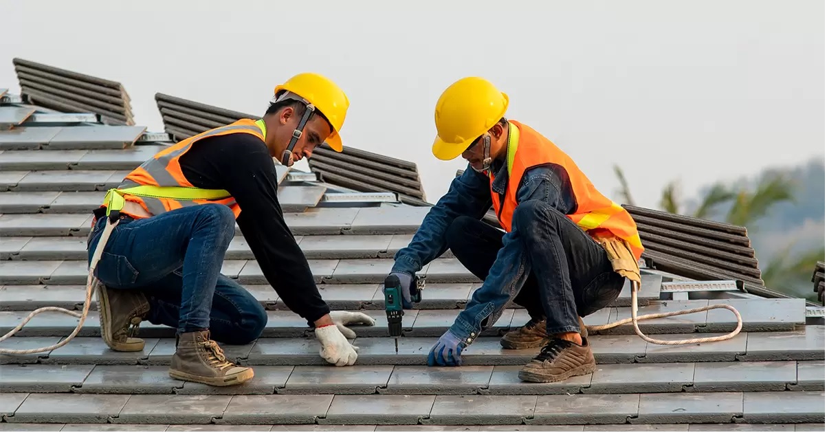 Roof Care Supports